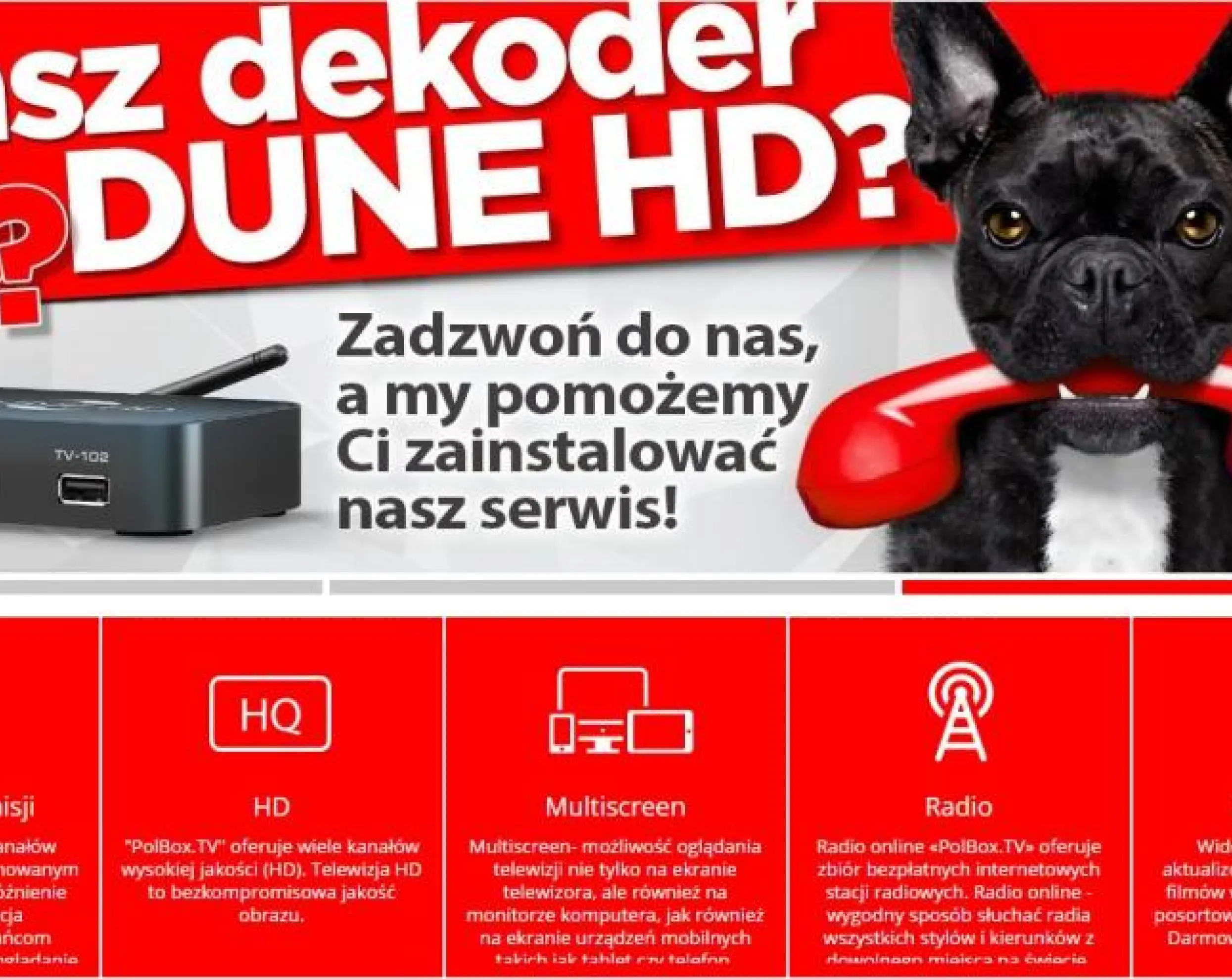 Polish Online Television